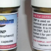 DNP